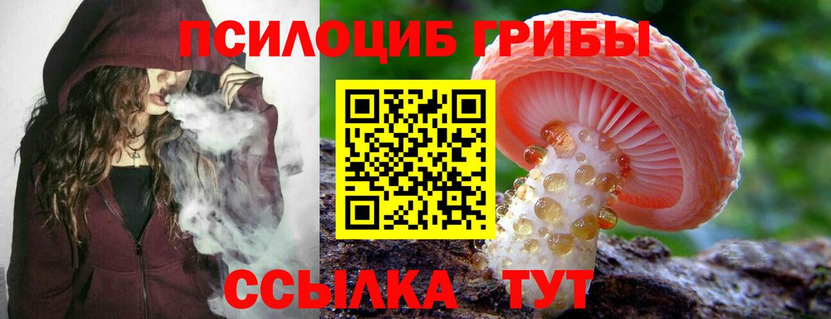 Алексин  Псилоцибиновые грибы Psilocybine cubensis  Вход с VPN 